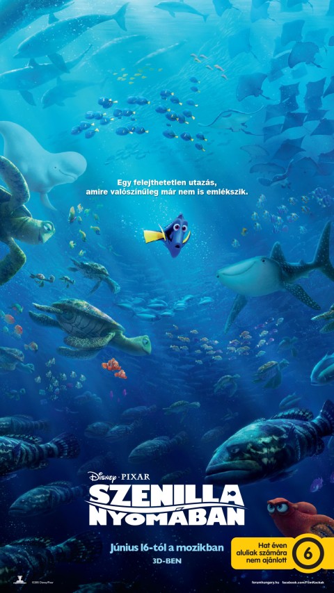 Szenilla nyomában (6)